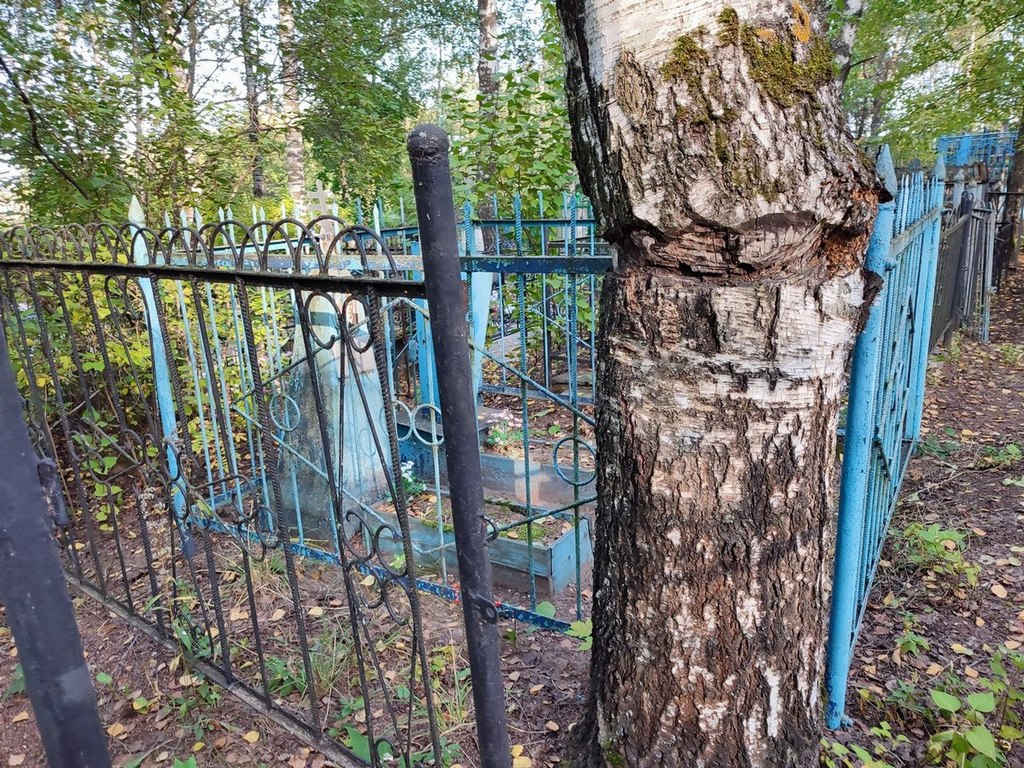 Шевяков Иван Степанович