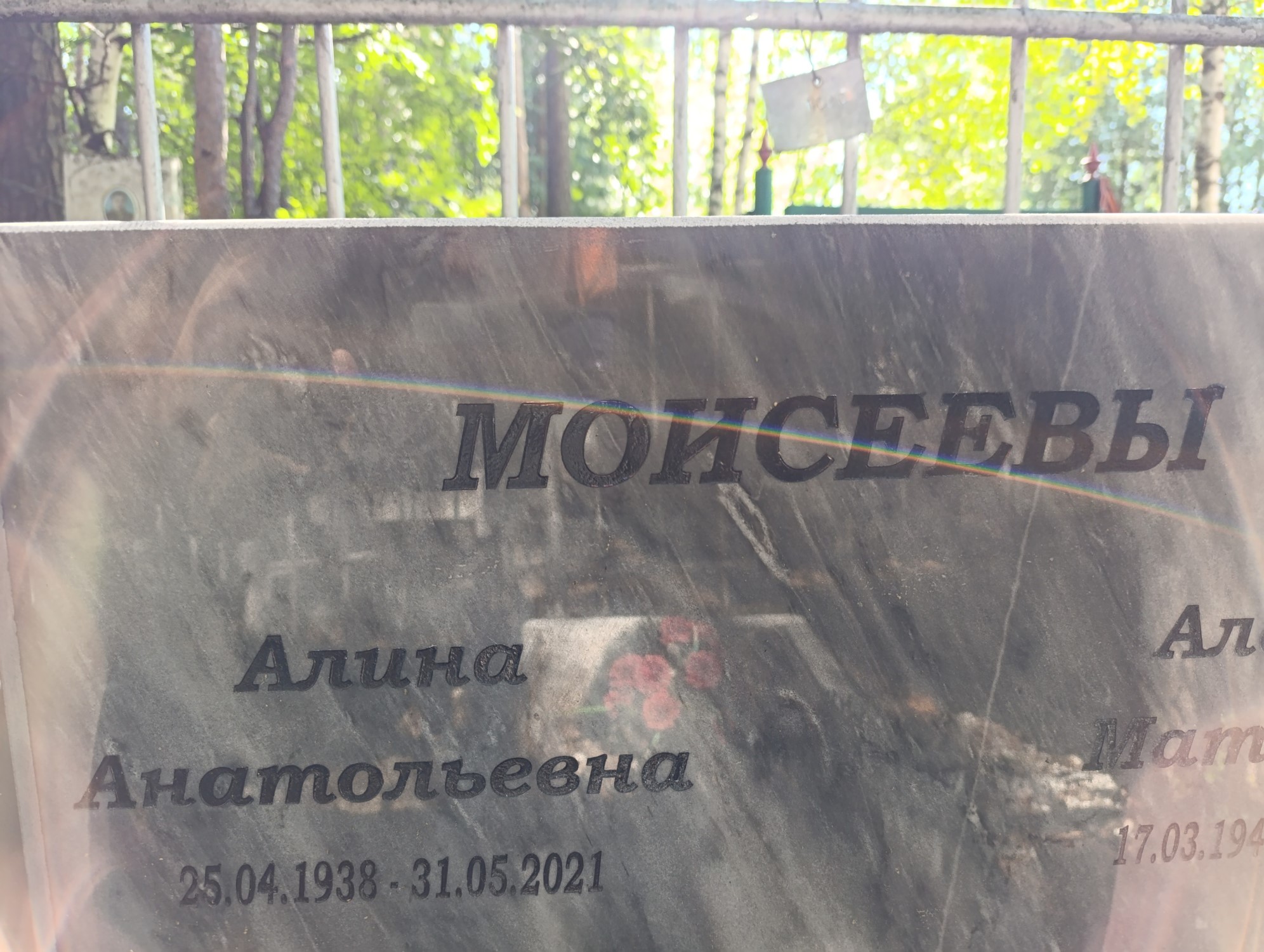 Моисеева Алина Анатольевна