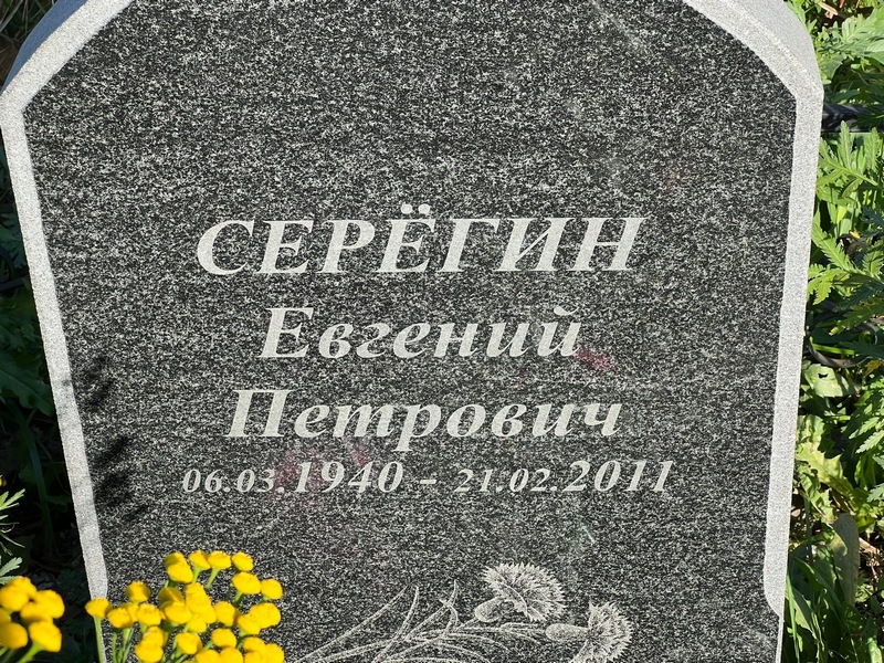 Серегин