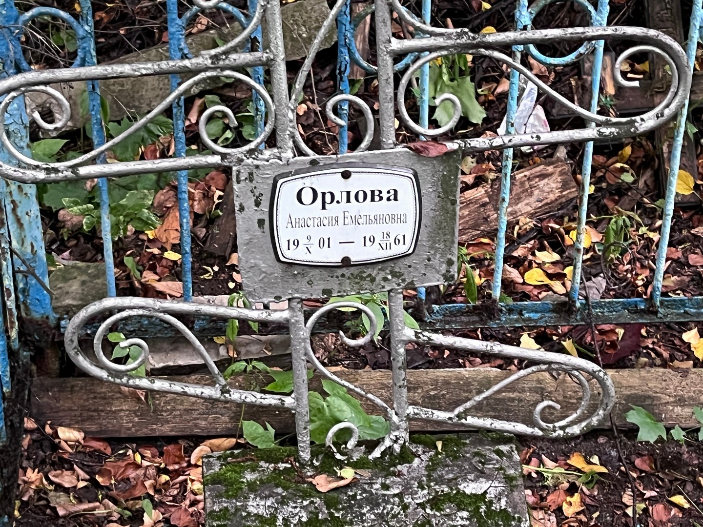 Орлова Анастасия Емельяновна