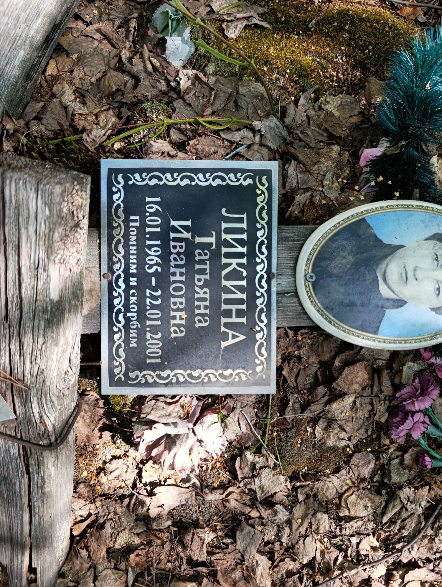 Ликина Татьяна Ивановна