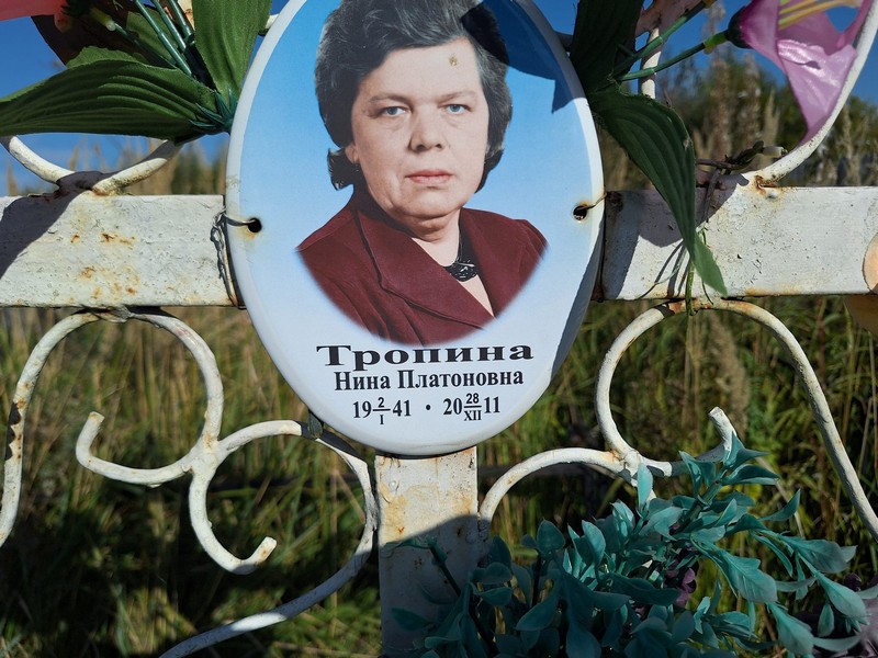 Тропина