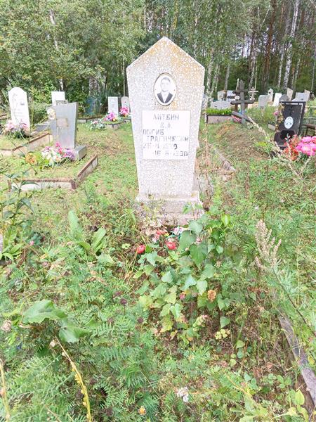 Литвин В. А.