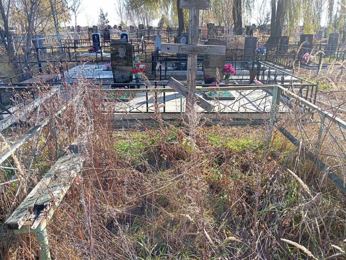 Торьева Ольга Павловна