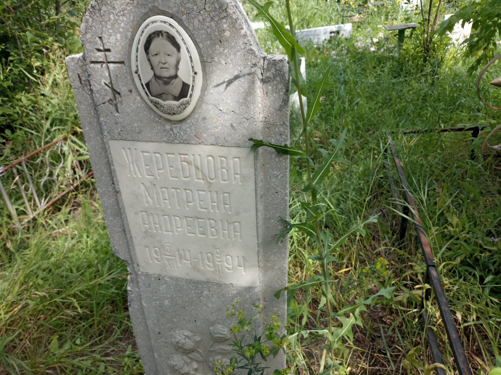 Жеребцова Матрена Андреевна