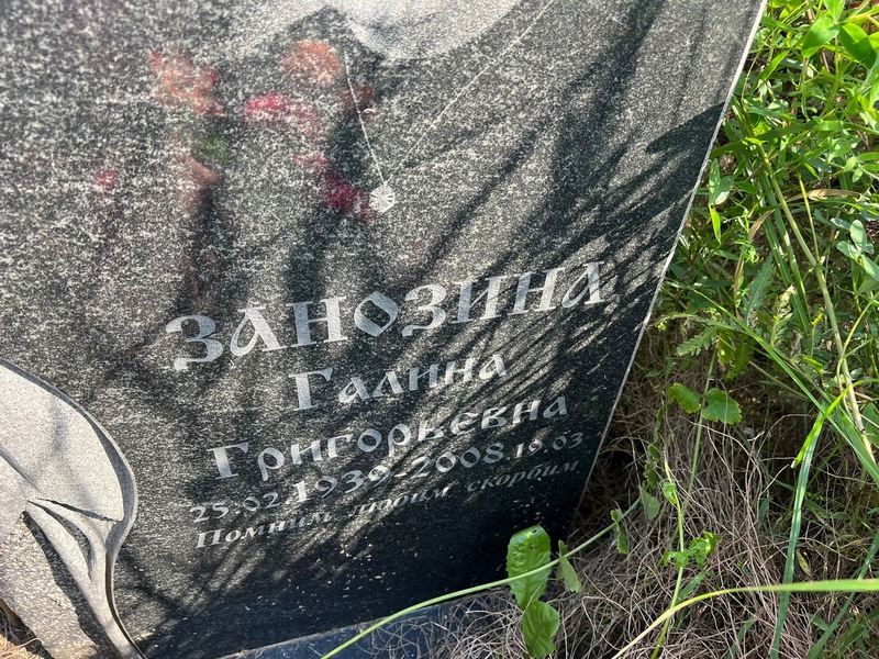 Занозина