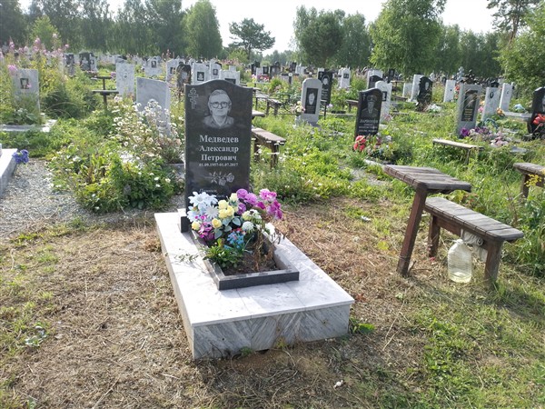 Медведев Александр Петрович