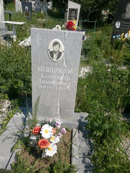 Мещеряков Александр Тимофеевич