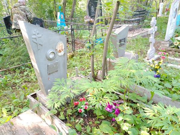 Жиронкина Екатерина Андреевна