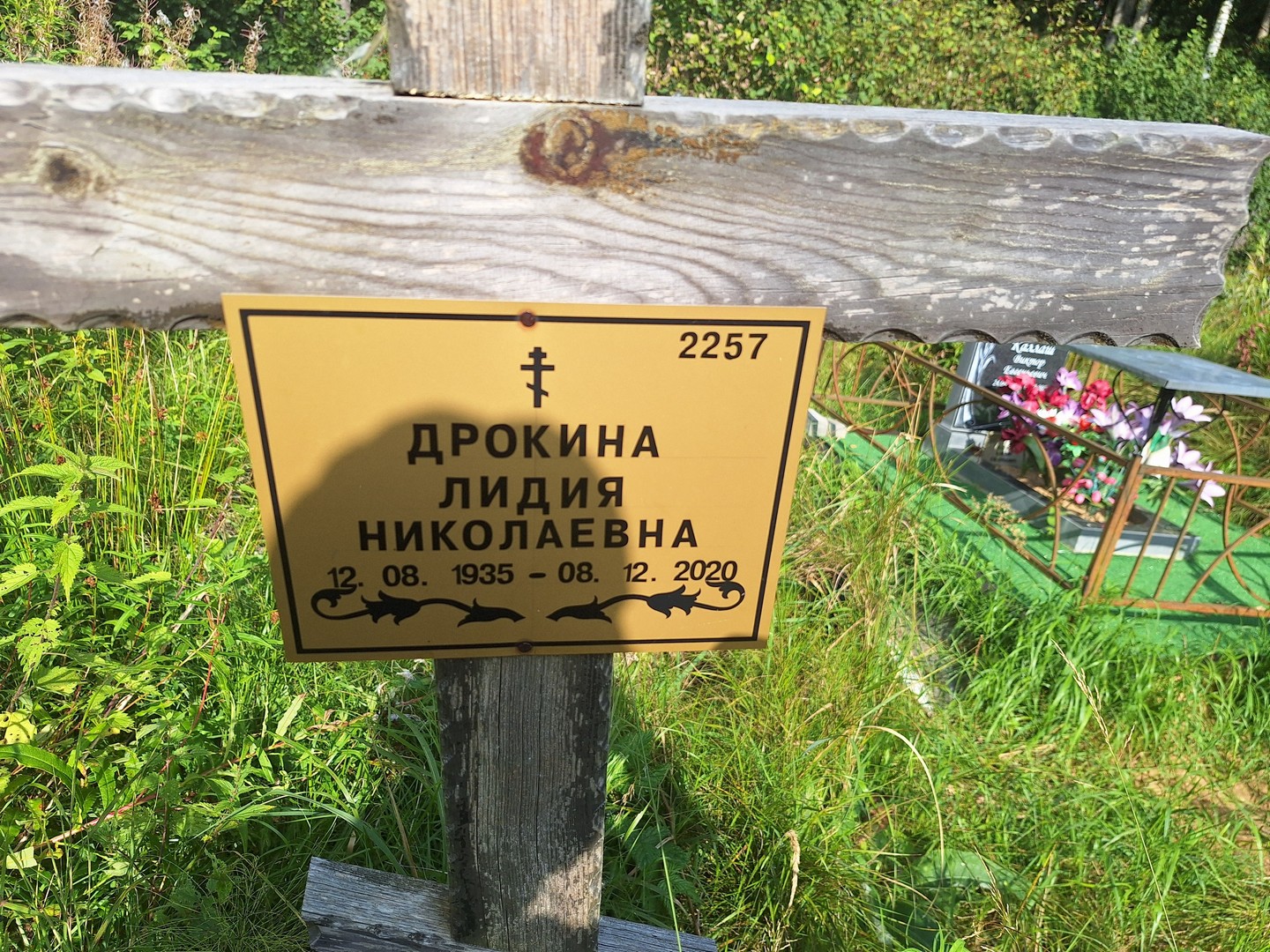 Дрокина