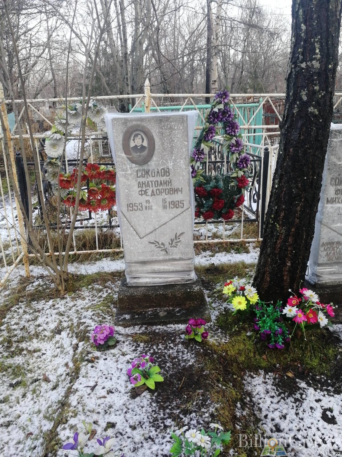 Соколов Анатолий Федорович