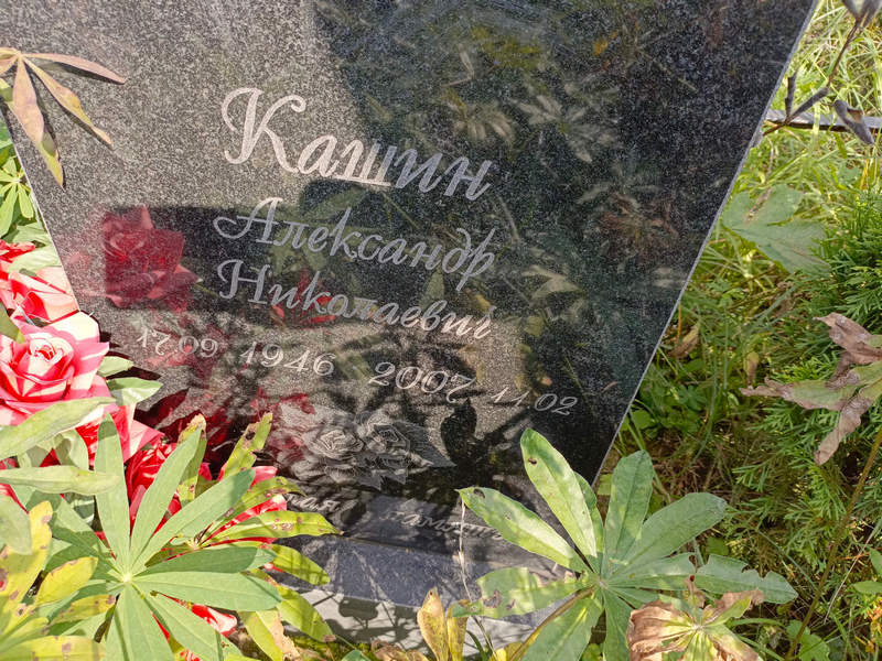 Кашин