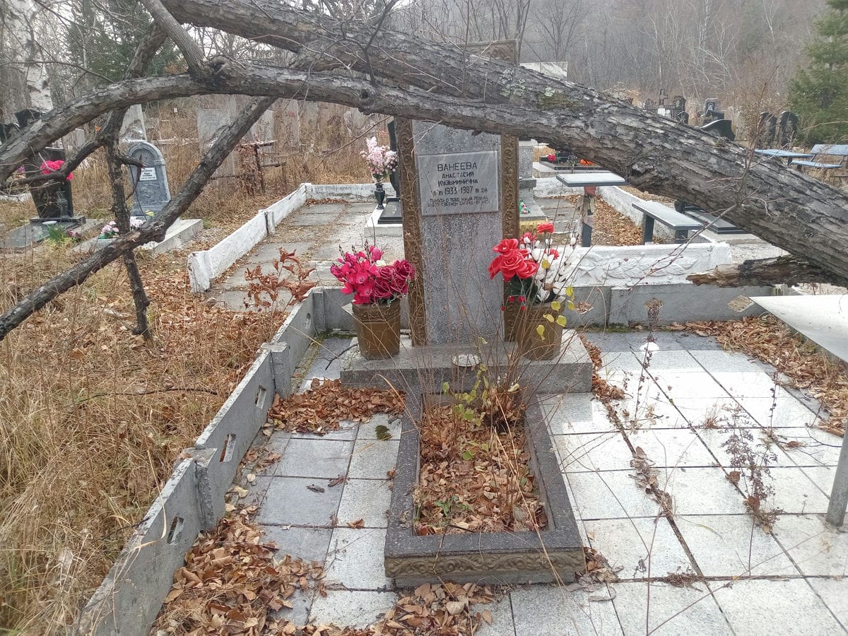 Ванеева Анастасия Кузьминична