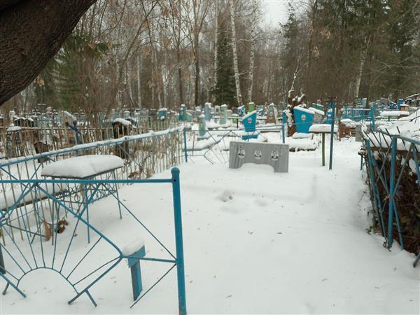 Соснова Екатерина Федоровна