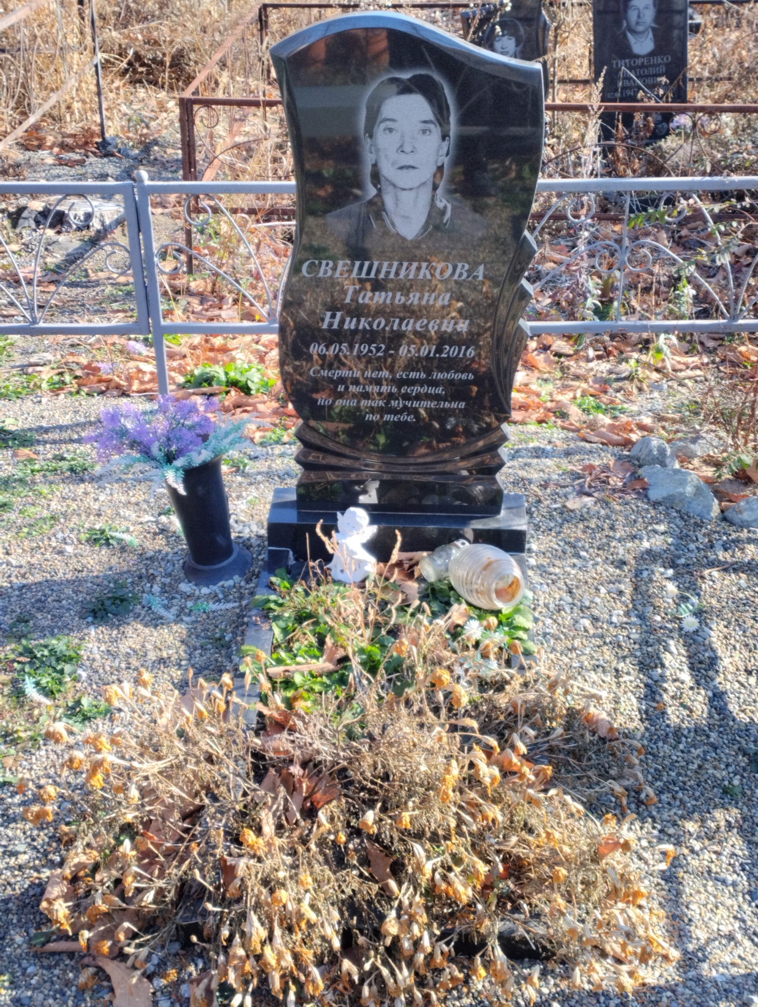 Свешникова Татьяна Николаевна