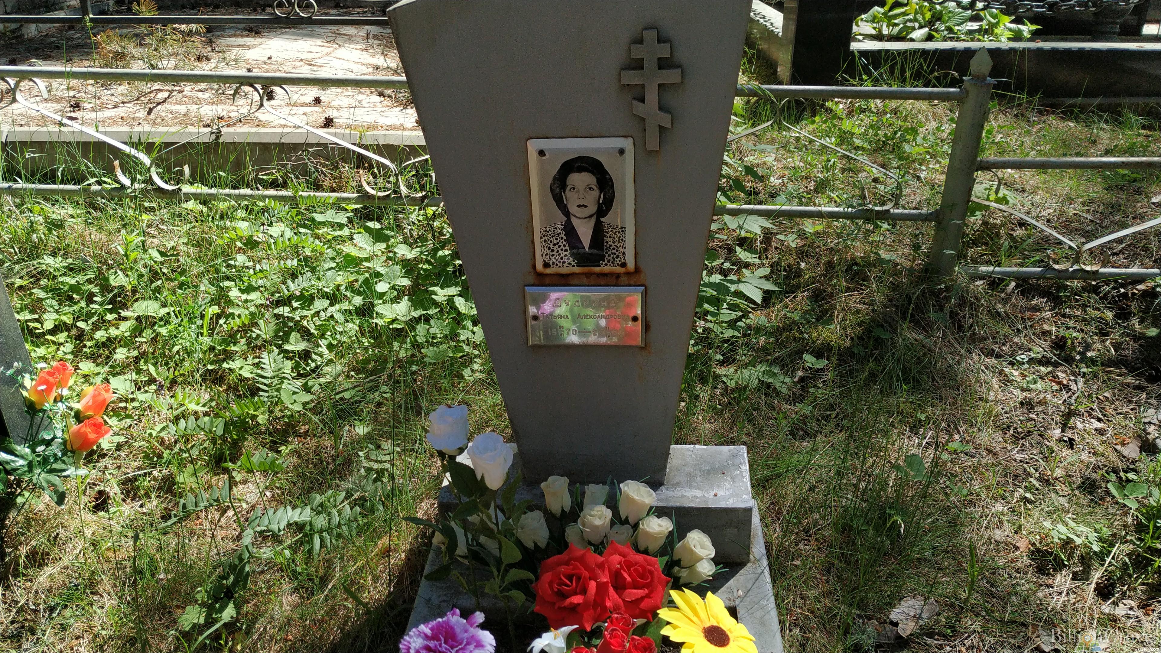Дудкина Татьяна Александровна