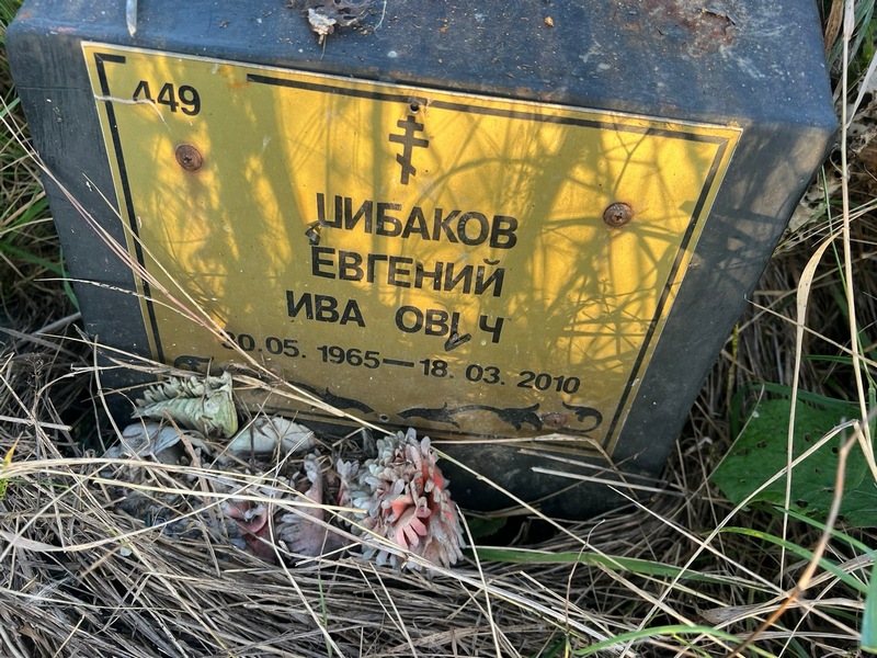 Щибаков