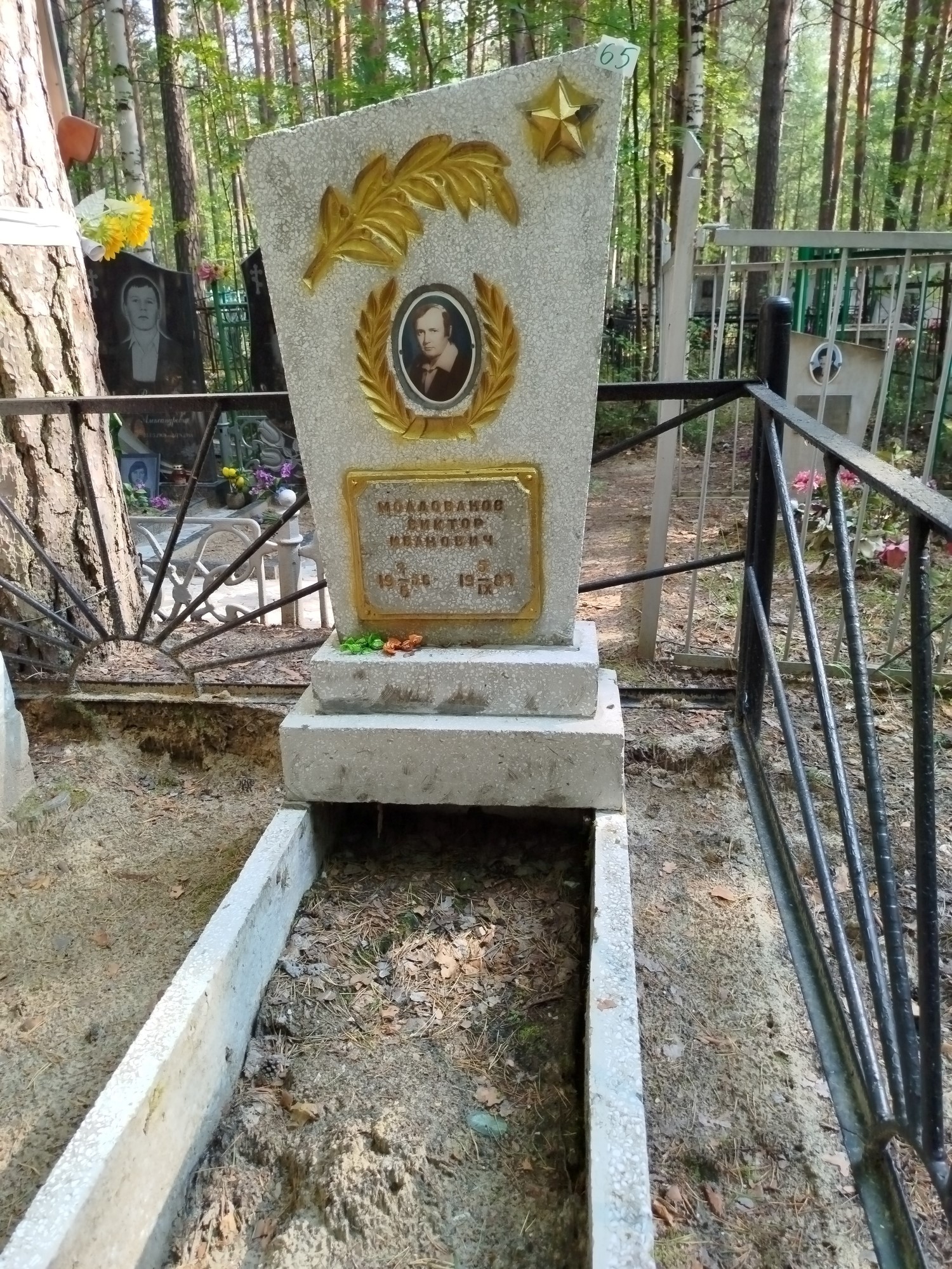 Молдованов Виктор Иванович