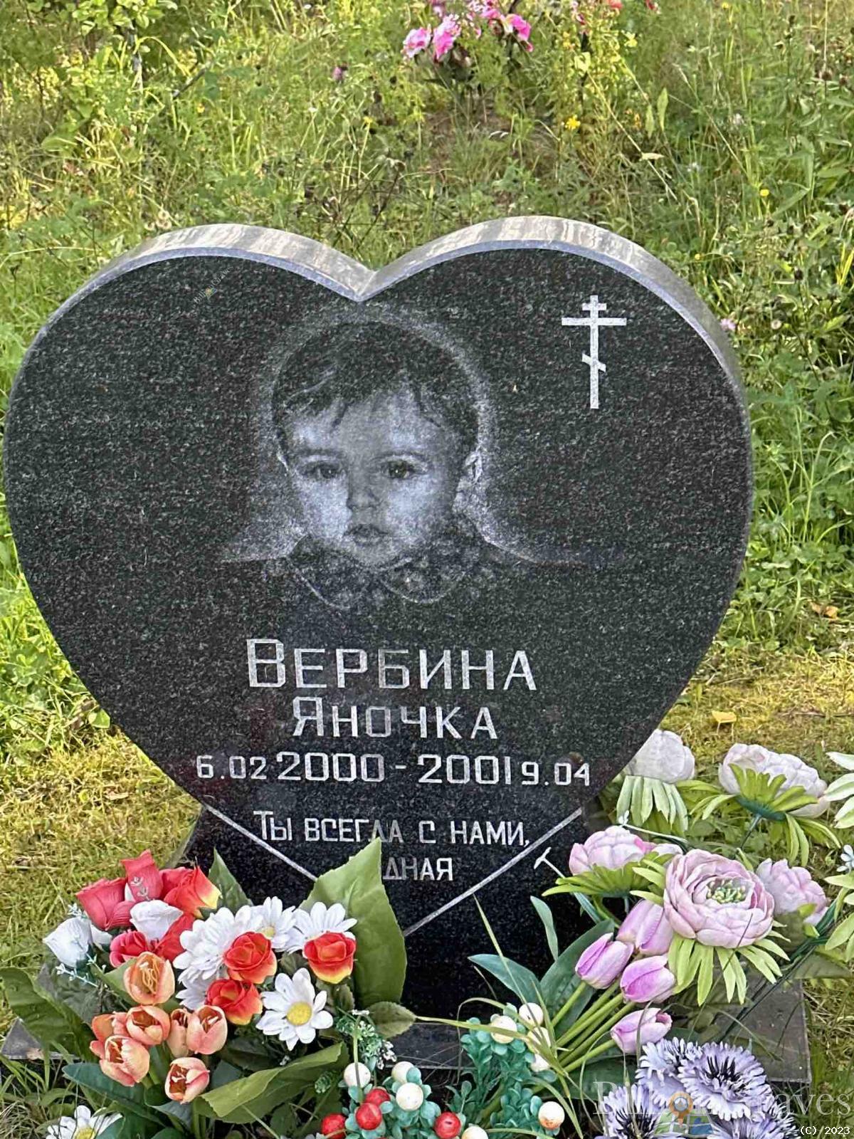 Вербина Яна