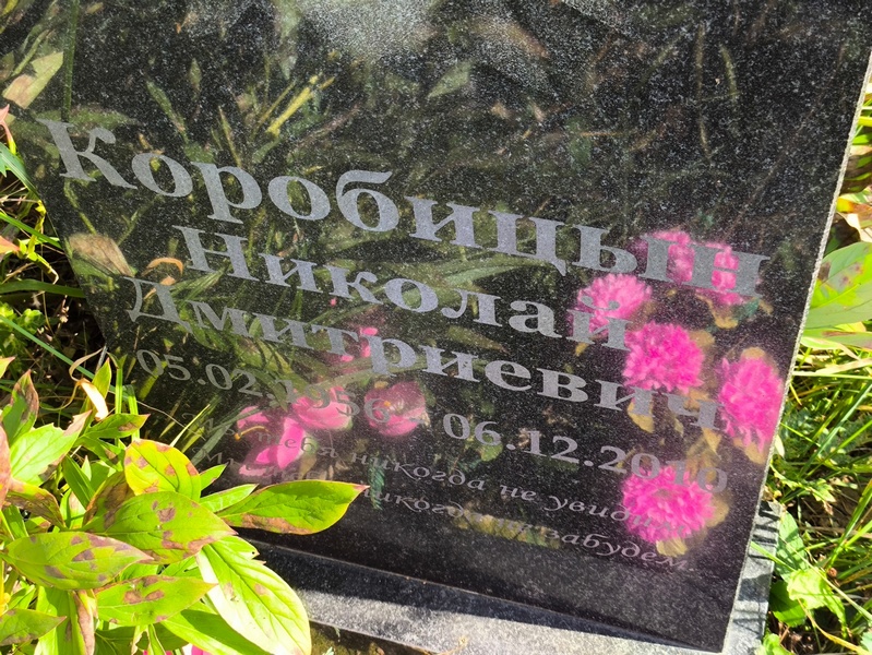 Коробицын