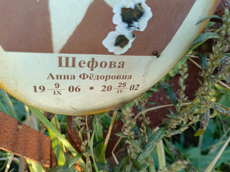 Шефова