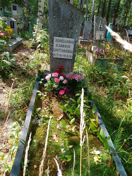 Габидулина Камиля Шартдиновна