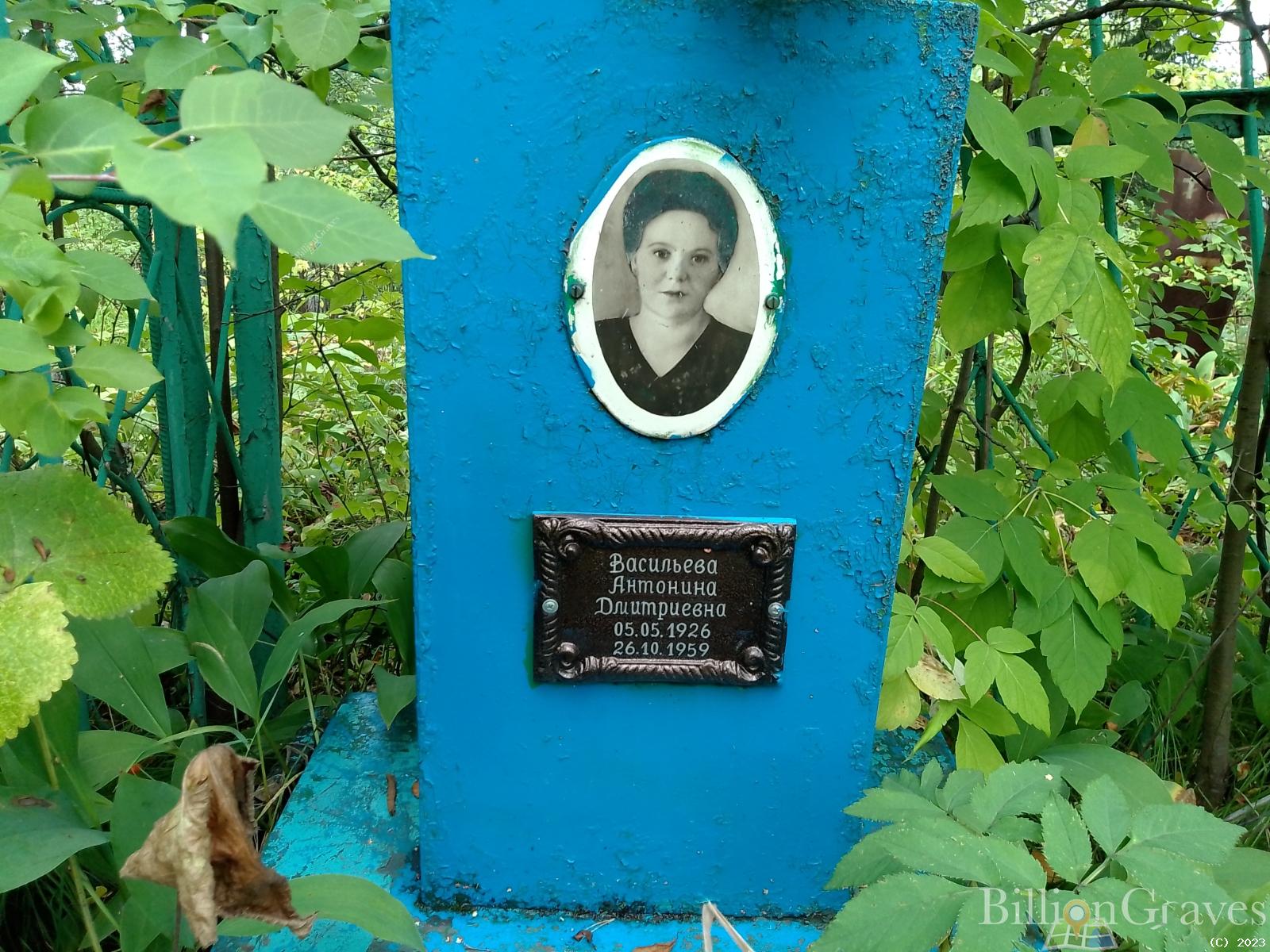 Васильева Антонина Дмитриевна