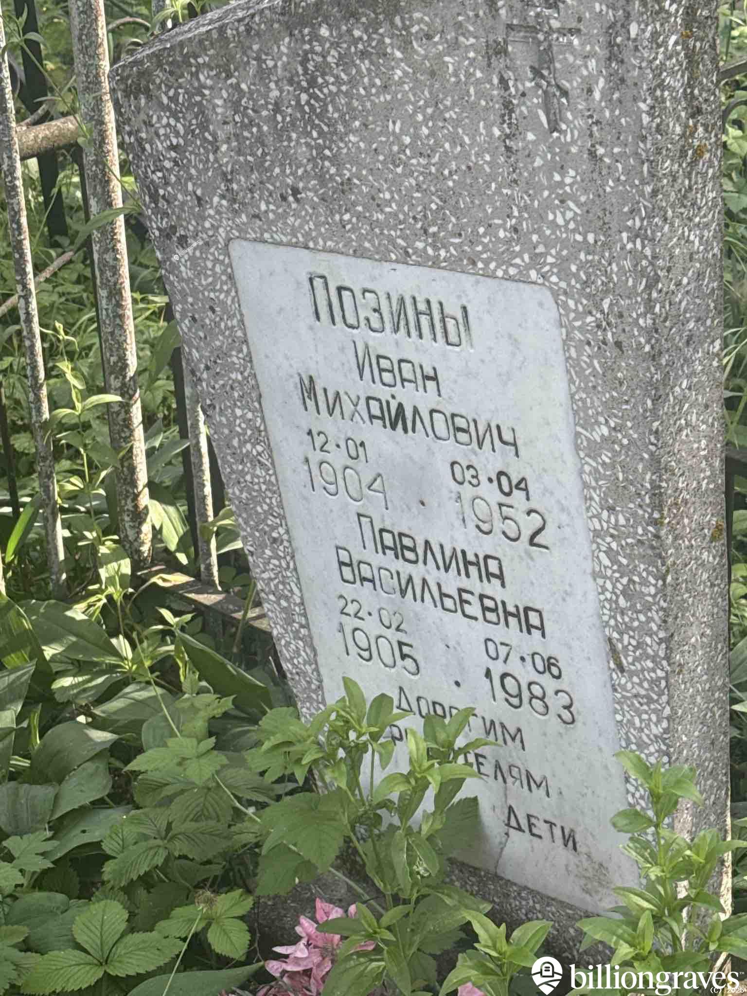 Позина Павлина Васильевна