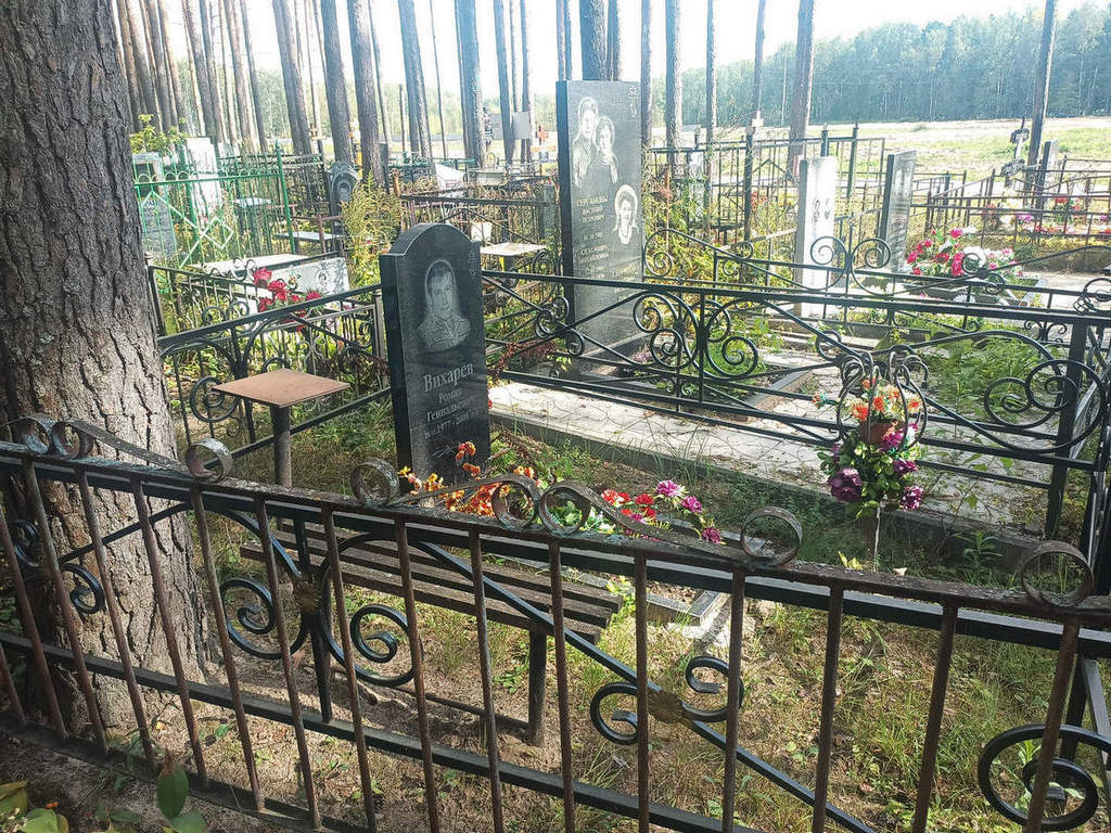Вихарев Роман Геннадьевич