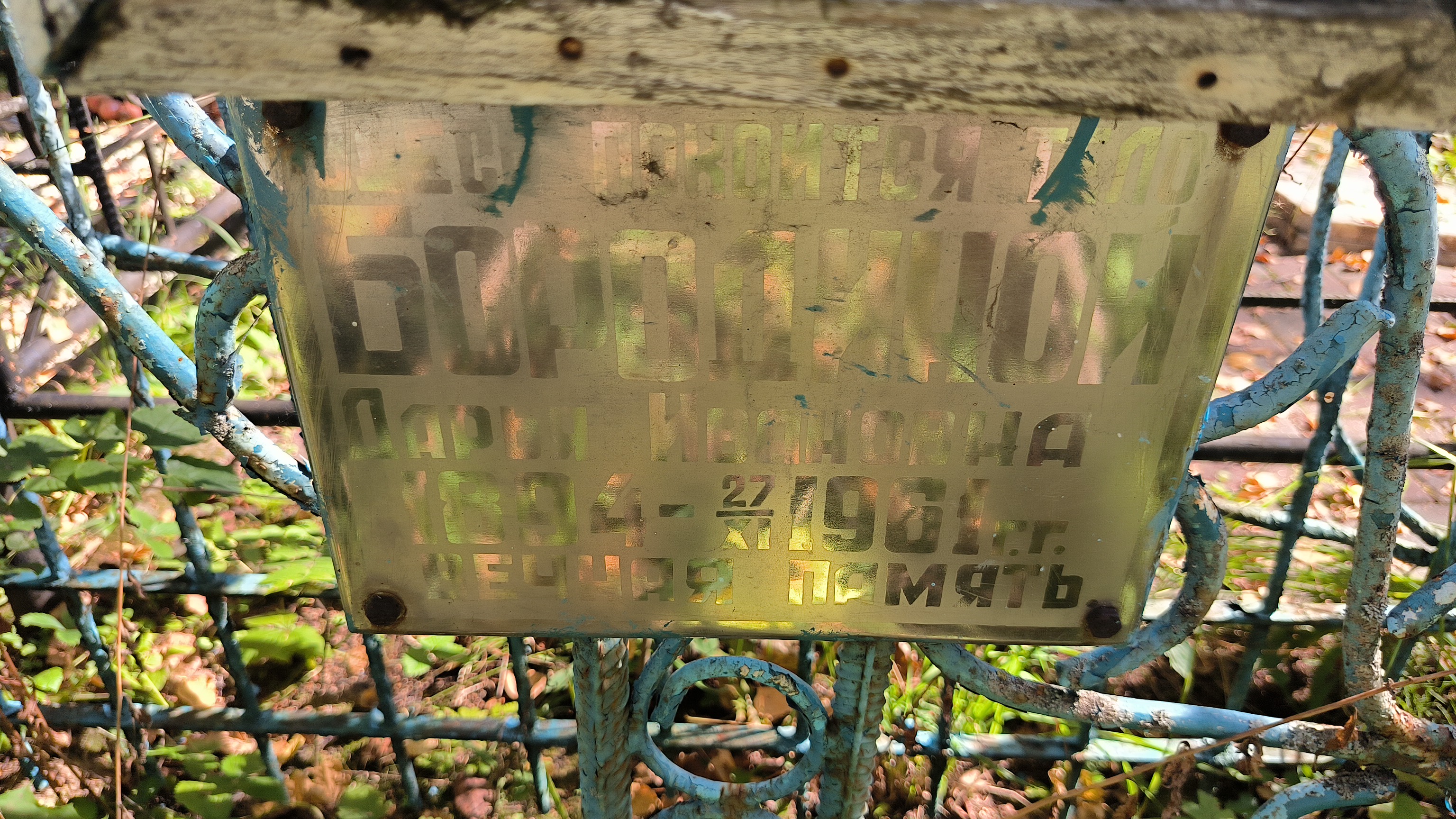 Бородина Дарья Ивановна