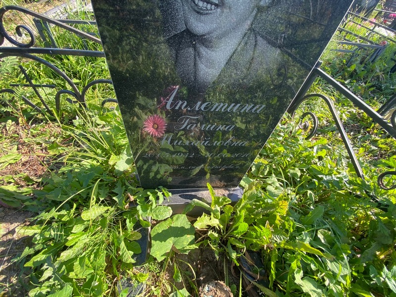 Аплетина