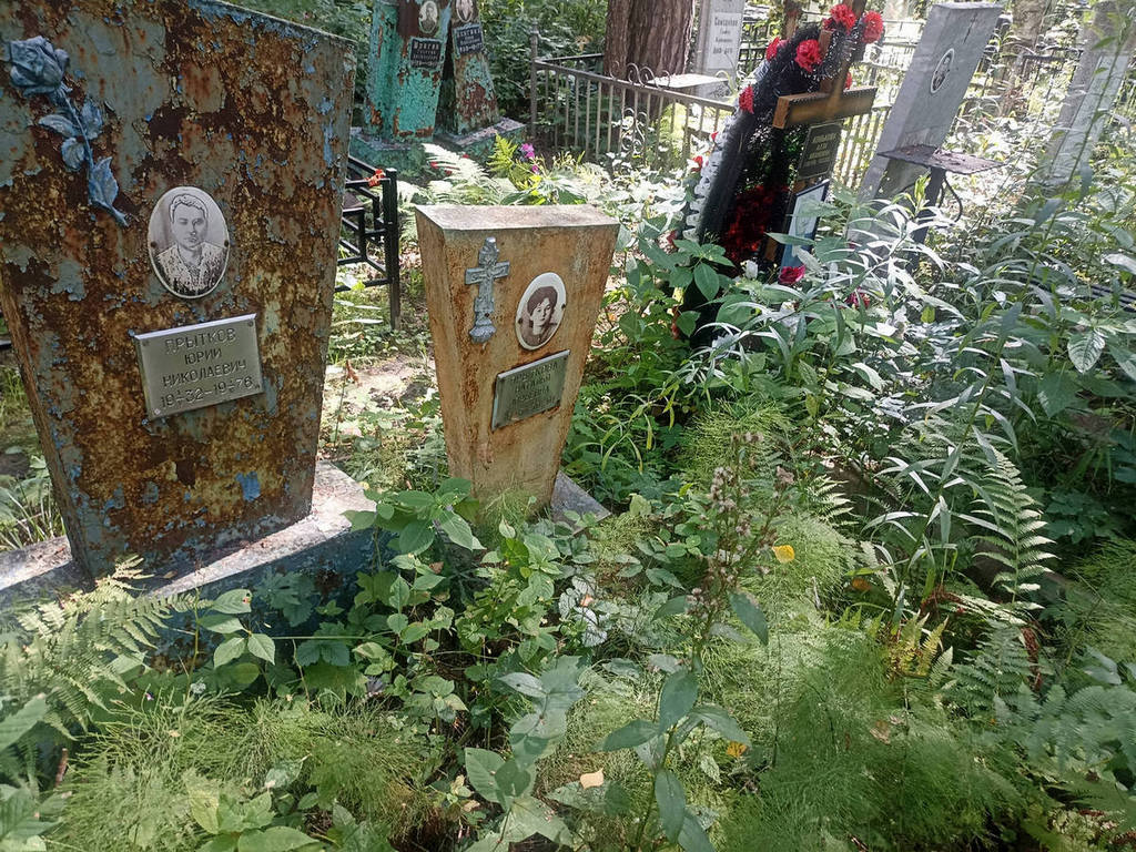 Прыткова Наталья Юрьевна