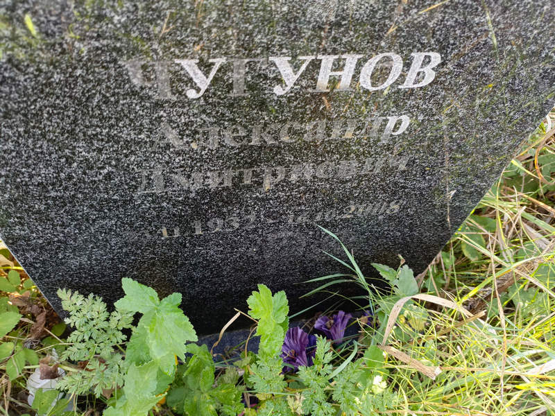 Чугунов