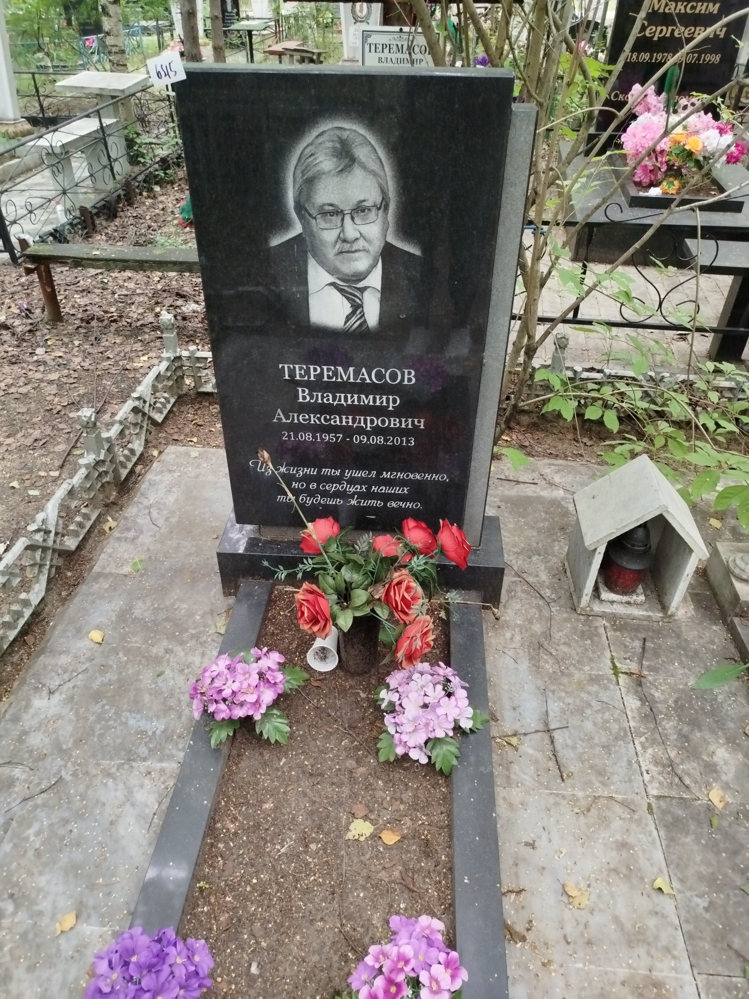 Теремасов Владимир Александрович