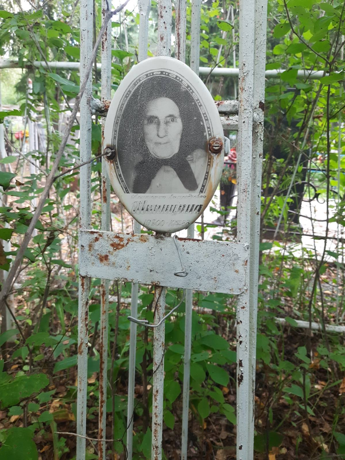 Шипицина Капиталина Александровна