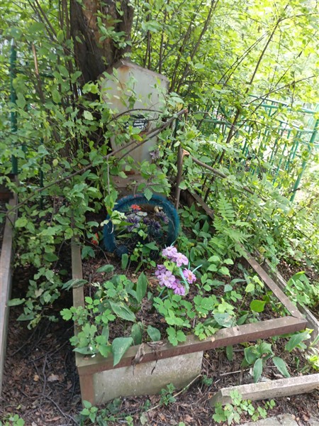 Рогожина Нина Осиповна