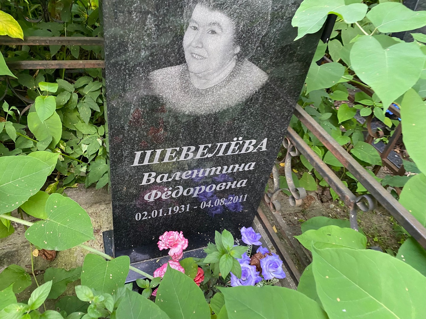 Шевелева