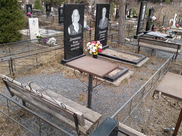 Демьяненко Николай Сергеевич