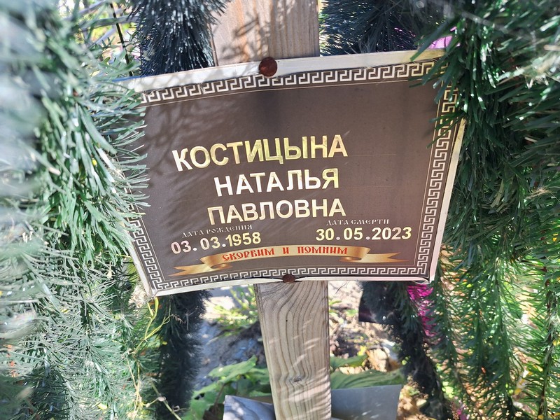 Костицына