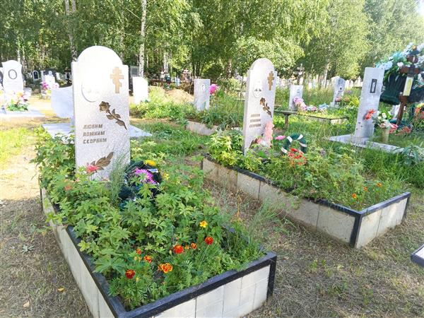 Дзиов Виктор Хасанбекович