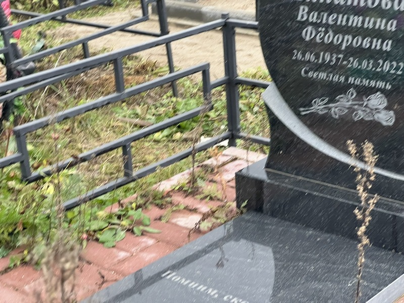 Липатова