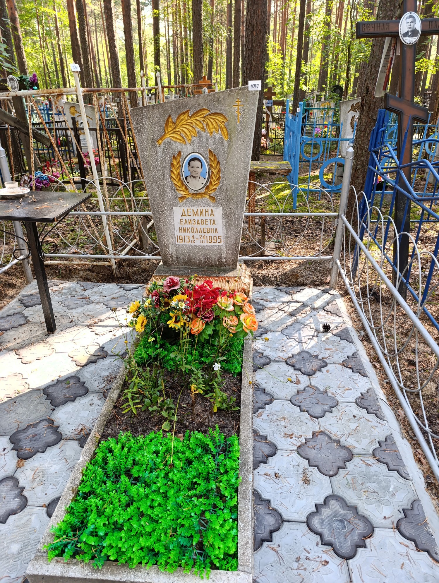Демина Елизавета Николаевна