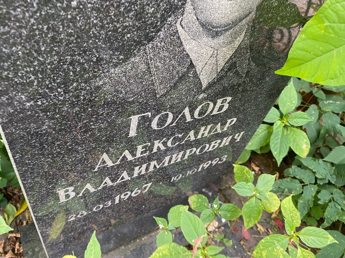 Голов