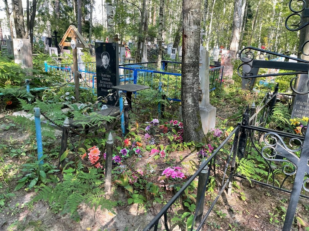 Егорихин Владимир Васильевич