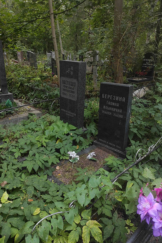 Цветкова Прасковья Николаевна