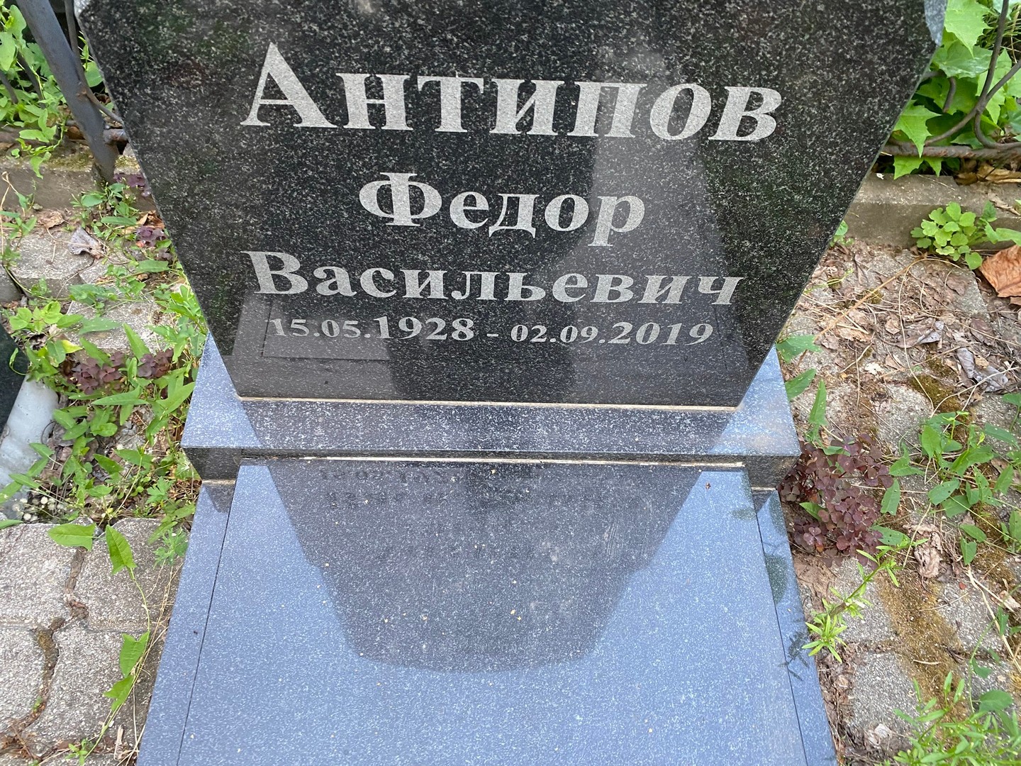 Антипов