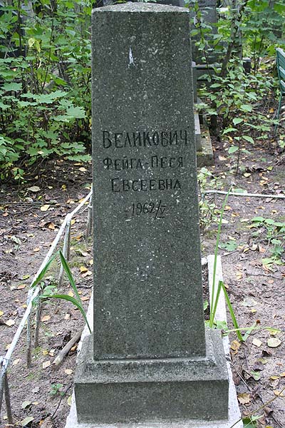 Великович Ф.-П. Е.