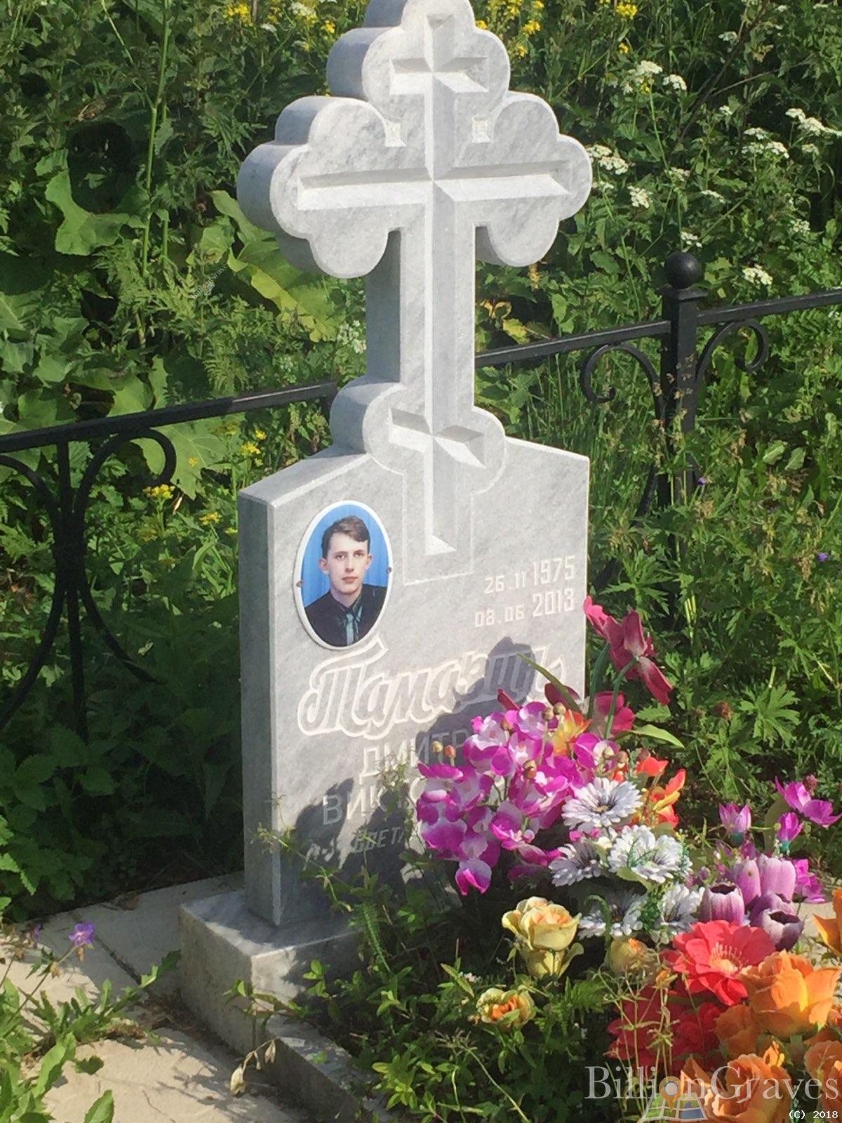 тамазин дмитрий викторович