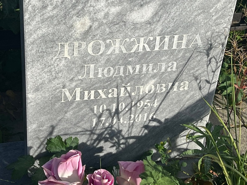 Дрожжина