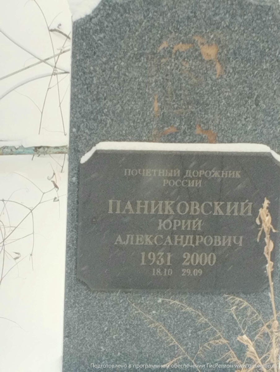 Паниковский Юрий Александрович